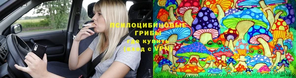 соль ск Тутаев