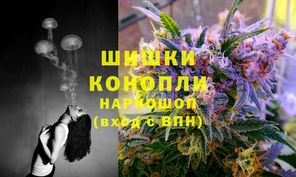 Альфа ПВП Туринск