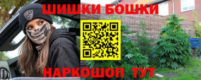 индика Аргун