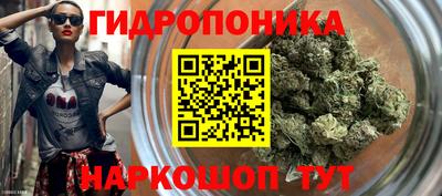 индика Аргун