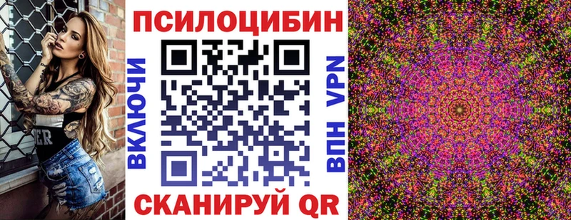 Псилоцибиновые грибы мицелий  OMG сайт  Аргун 