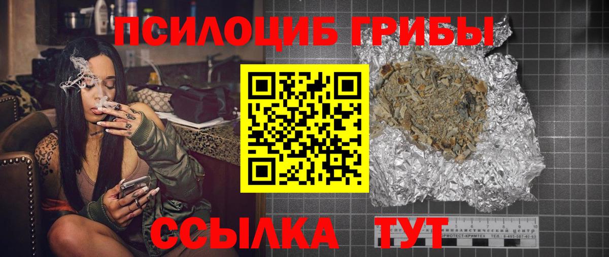 Галлюциногенные грибы Psilocybe Аргун