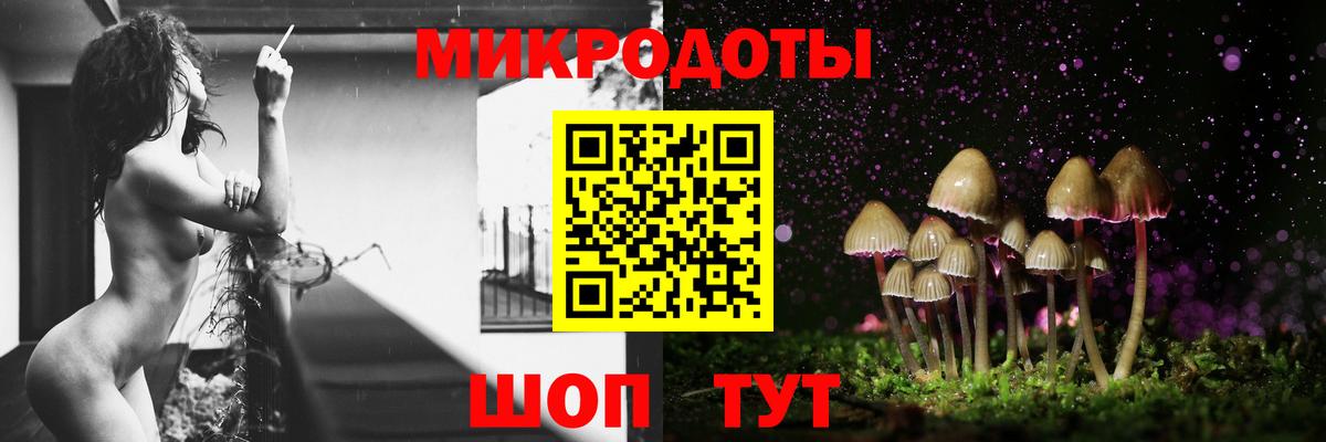 Аргун  Галлюциногенные грибы GOLDEN TEACHER  Галлюциногенные грибы GOLDEN TEACHER  наркошоп  Вход с VPN 