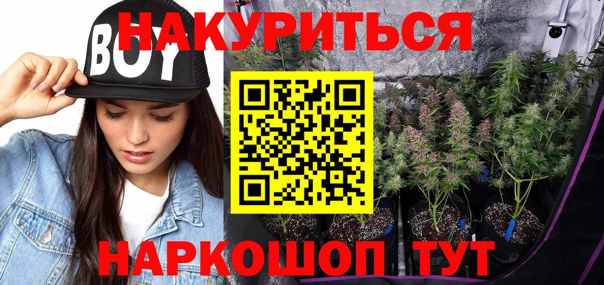 Бошки марихуана сатива Аргун
